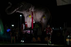 BIB: 
                            <button type="button" onclick="openModal(26530668)" class="btn btn-primary btn-sm float-right btn-popup" data-toggle="modal" data-target=".modal-high-quality">
                        <i class="fas fa-shopping-cart"></i> Add to Cart
                    </button>
                                            <button type="button" onclick="isThisMe(26530668, true)" class="btn btn-success btn-sm float-right btn-popup btn-isme hidden" data-toggle="tooltip" data-placement="bottom" title="นี่คือรูปของคุณใช่ไหม คลิกที่นี่เพื่อเอาเข้าอัลบั้ม">
                        <i class="fas fa-plus"></i> Add to album
                    </button>
                    <button type="button" onclick="isThisMe(26530668, false)" class="btn btn-warning btn-sm float-right btn-popup btn-isnotme hidden">
                        <i class="fas fa-ban"></i> Remove from album
                    </button>